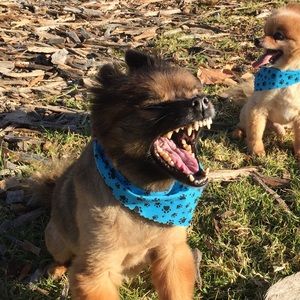 Meet your Posher, Linda